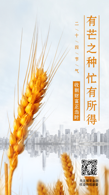 金融保险节气祝福芒种商务海报预览效果