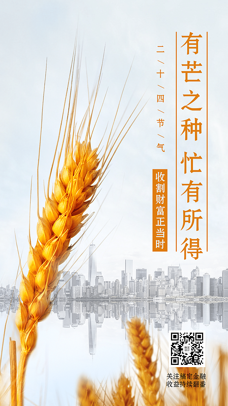 金融保险节气祝福芒种商务海报
