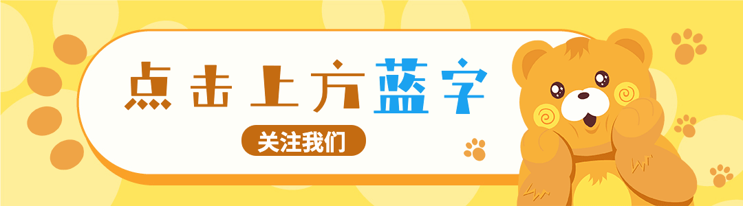 幼儿园卡通小熊动态引导关注预览效果