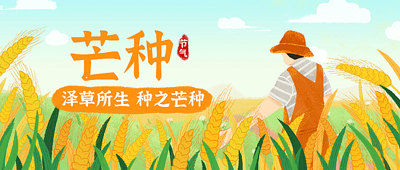 芒种节气稻穗农作插画公众号首图