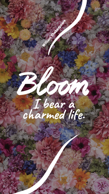 Literary Bouquet Text Quotes Instagram Story预览效果
