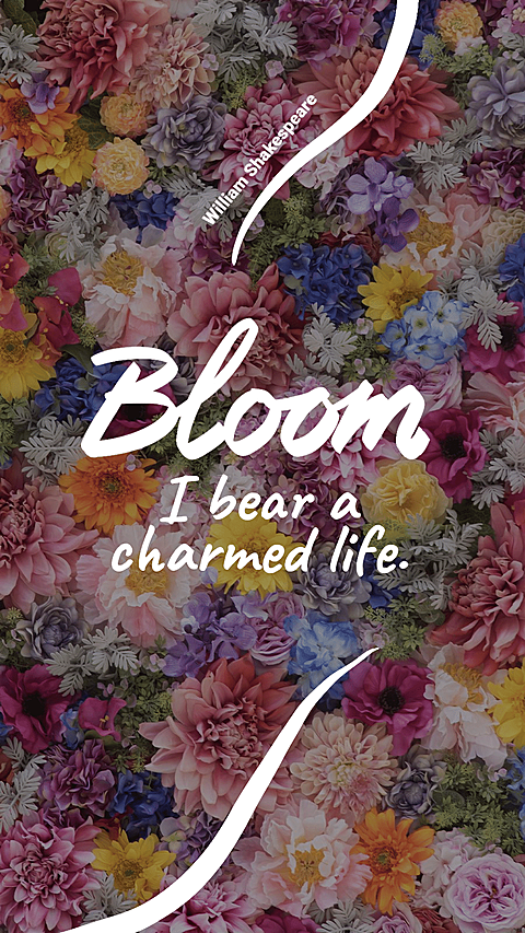 Literary Bouquet Text Quotes Instagram Story