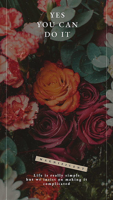 Flower English Illustration Aestheticism Art Simple Fashion Style Instagram Story