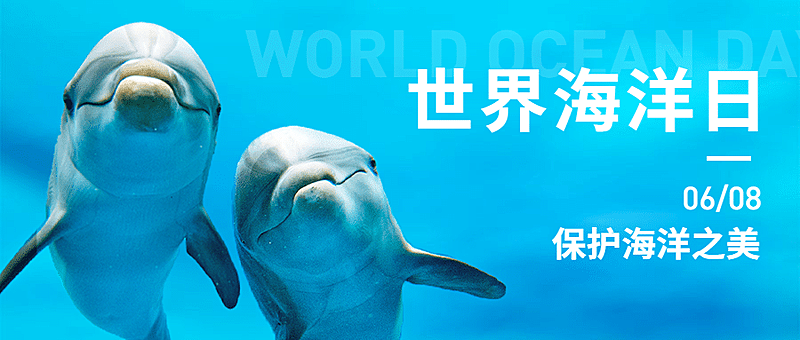 世界海洋日公益环境公众号首图
