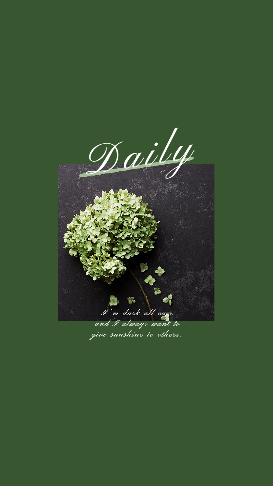 Fresh Style Plant Theme Green Bouquet Photography Instagram Highlight