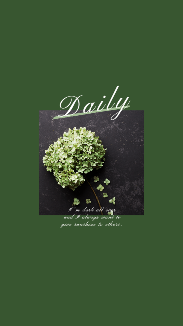 Fresh Style Plant Theme Green Bouquet Photography Instagram Highlight预览效果