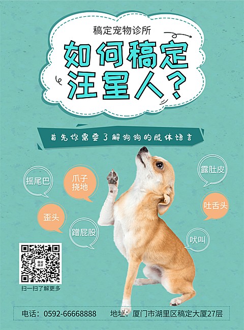 宠物诊所汪星人科普张贴海报