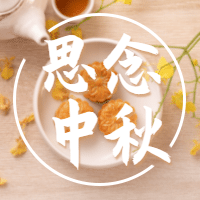 思念中秋公众号次图预览效果