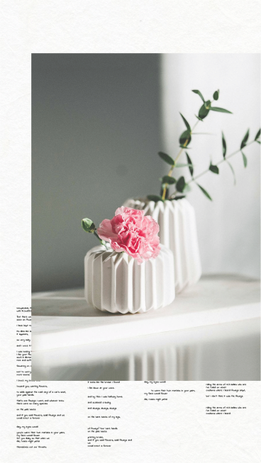 Literary Flower Display Instagram Story预览效果