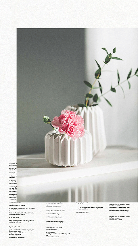 Literary Flower Display Instagram Story