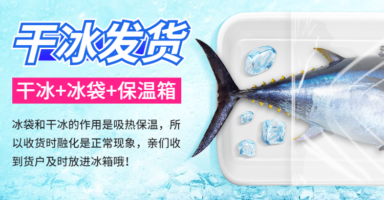 夏季干冰冰袋发货店铺公告海报预览效果