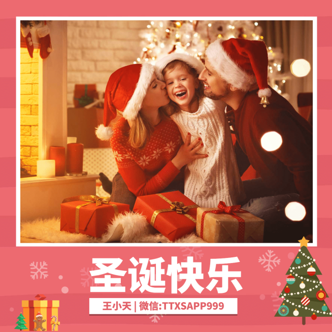 清新文艺圣诞头像简约边框预览效果