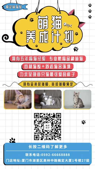 萌猫宠物推广手机海报