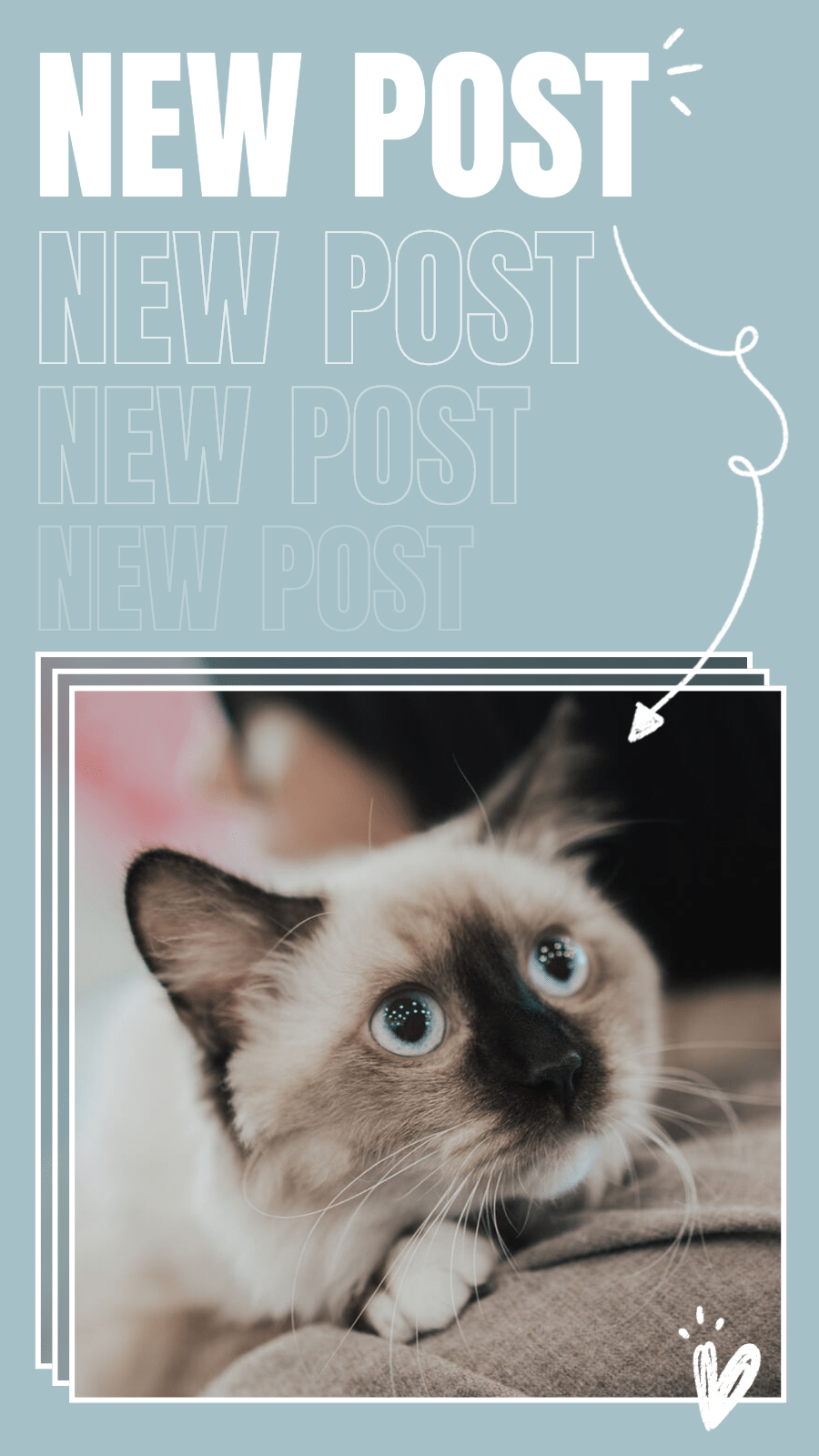 Simple Fresh Pet Cat Display New Post Instagram Story