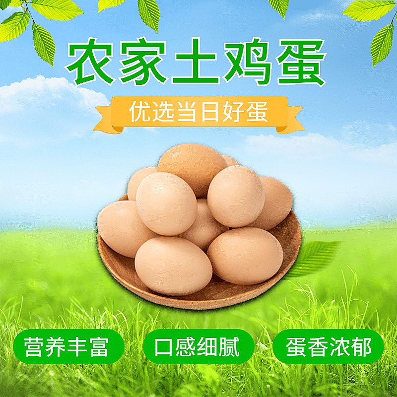 食品生鲜特产鸡蛋抠图商品主图