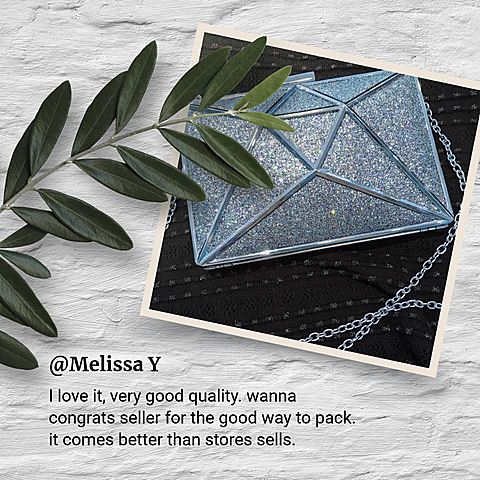 Starlight Women's Handbag Purse Customer Review Feedback Ecommerce Product Image