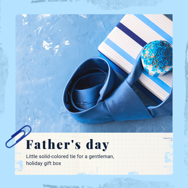 Simple Father's Day Gift Tie Promo Instagram Story预览效果