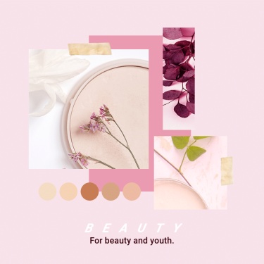 Pink Palette Beauty Cosmetics Ecommerce Product Image