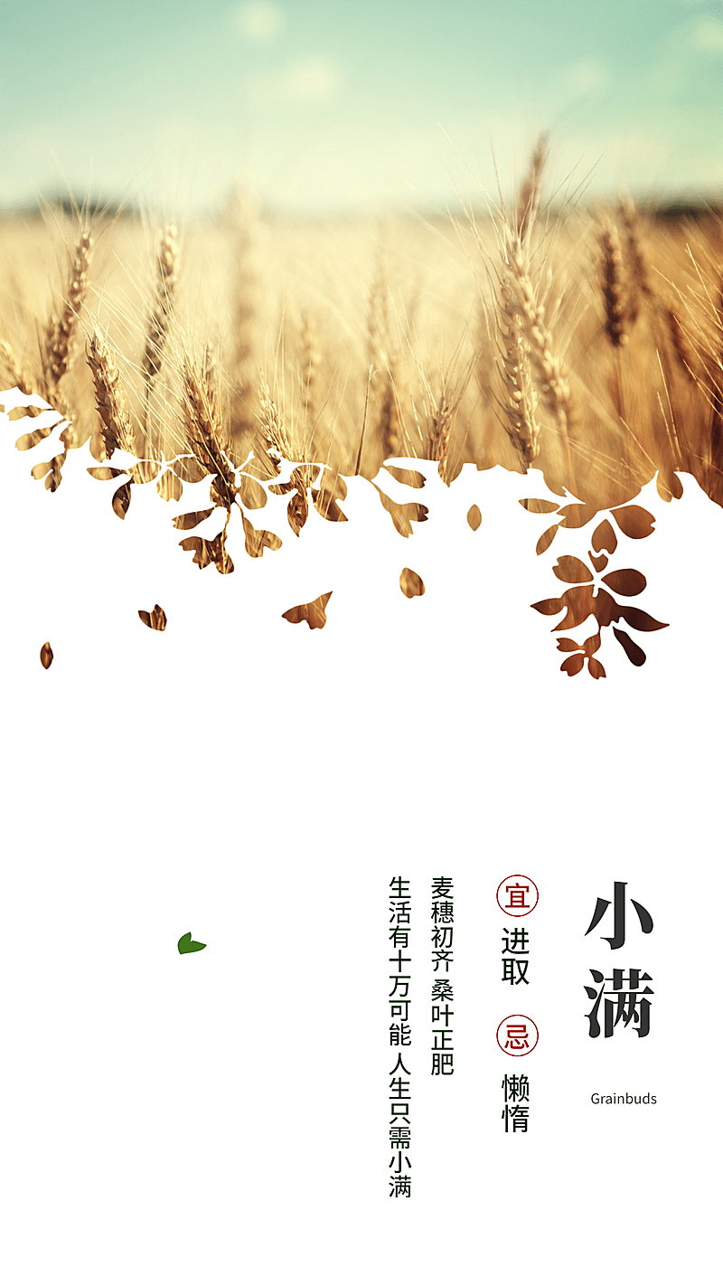 小满宜进取忌懒惰手机海报