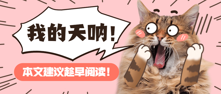 吃惊震惊猫咪萌宠宠物公众号首图预览效果