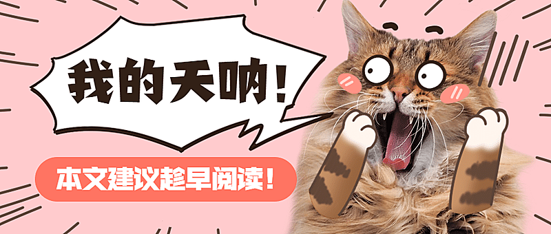 吃惊震惊猫咪萌宠宠物公众号首图