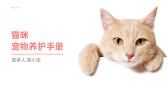 模板缩略图