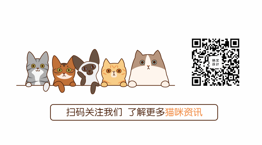 宠物医院卡通萌宠动态二维码预览效果