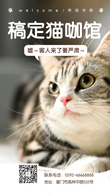 简约可爱/ 萌宠宠物店/猫咖馆手机海报预览效果