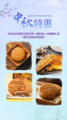 模板缩略图