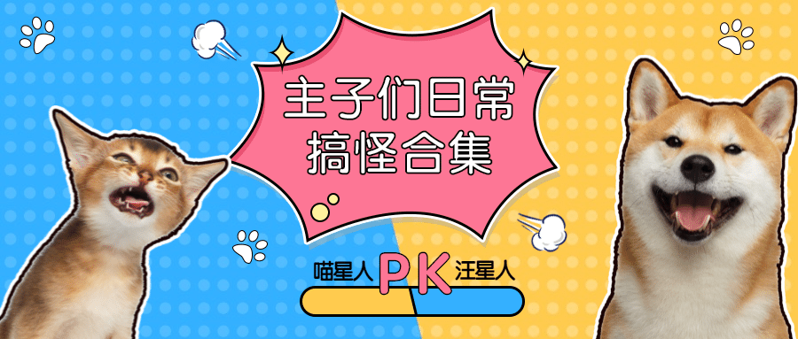 萌宠宠物铲屎官主子们的搞怪合集/公众号首图预览效果