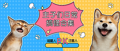 萌宠宠物铲屎官主子们的搞怪合集/公众号首图