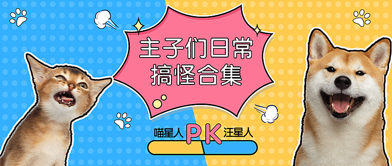 萌宠宠物铲屎官主子们的搞怪合集/公众号首图