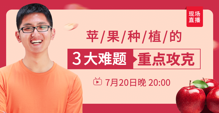 生鲜水果苹果种植直播预告海报banner预览效果