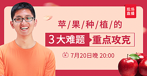 生鲜水果苹果种植直播预告海报banner