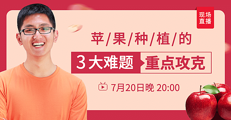 生鲜水果苹果种植直播预告海报banner