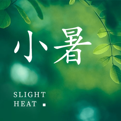 小暑节气绿植清新实景公众号次图