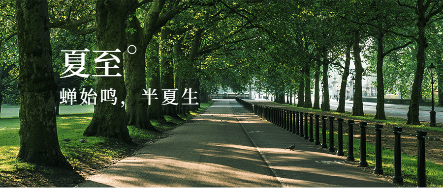夏至节气绿荫夏日清爽公众号首图预览效果