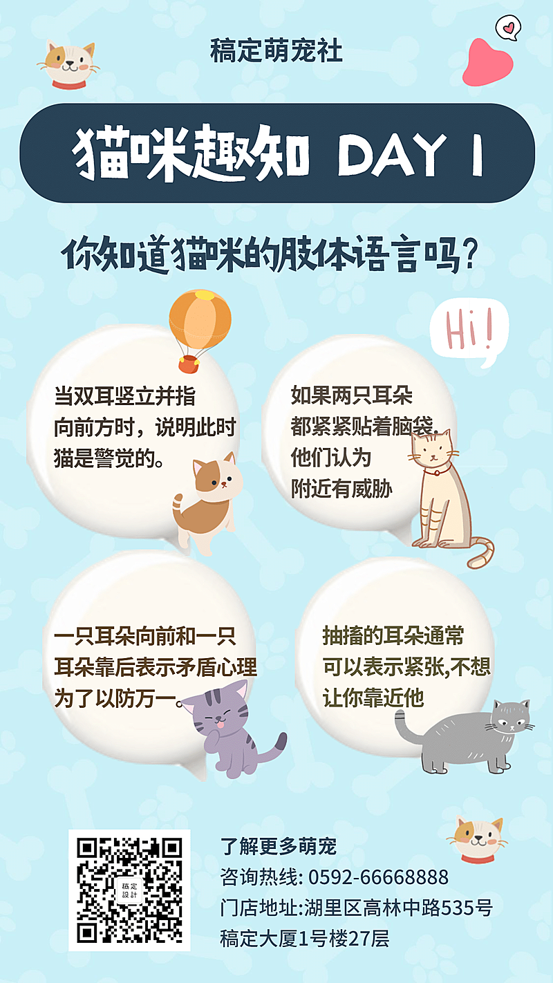 猫咪趣知猫咪百科手机海报