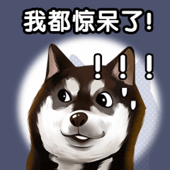 2020倒计时震惊趣味动态表情包预览效果