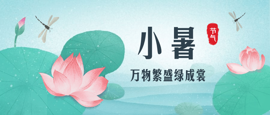 小暑节气荷叶荷花划船公众号首图预览效果