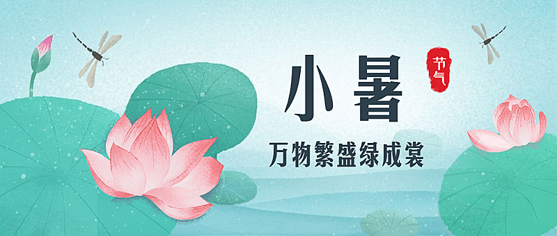 小暑节气荷叶荷花划船公众号首图