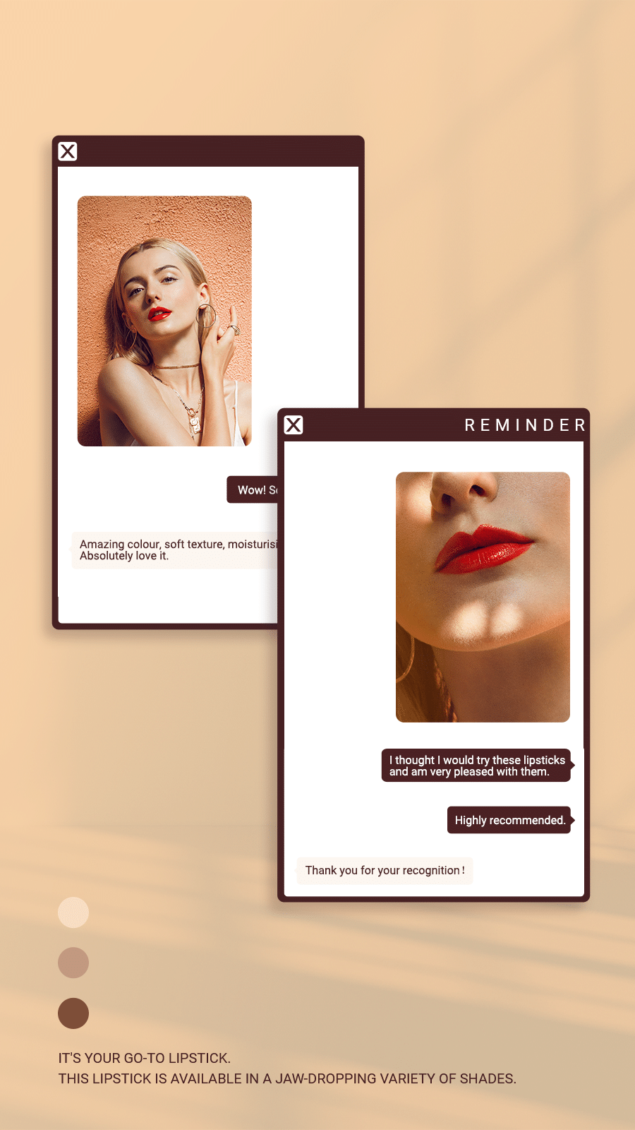 Lipstick Customer Feedback Ecommerce Story预览效果
