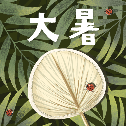 大暑节气植物蒲扇夏日公众号次图预览效果