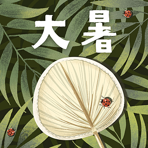 大暑节气植物蒲扇夏日公众号次图