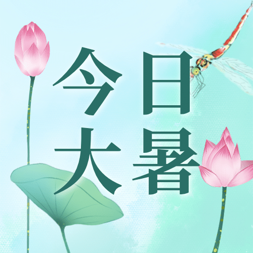 大暑节气莲花荷叶中式公众号次图预览效果
