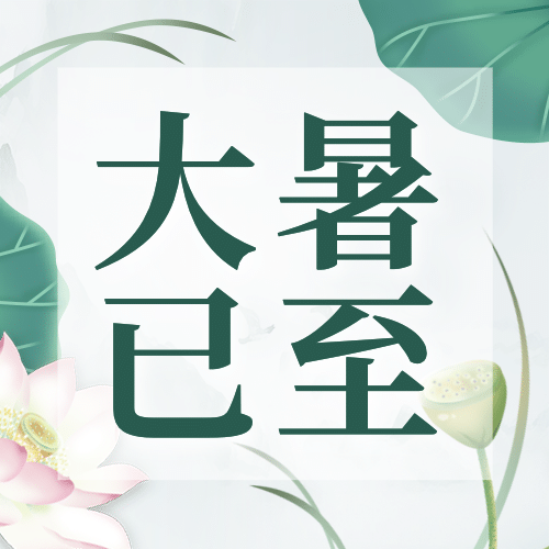 大暑节气荷叶文框清新公众号次图预览效果