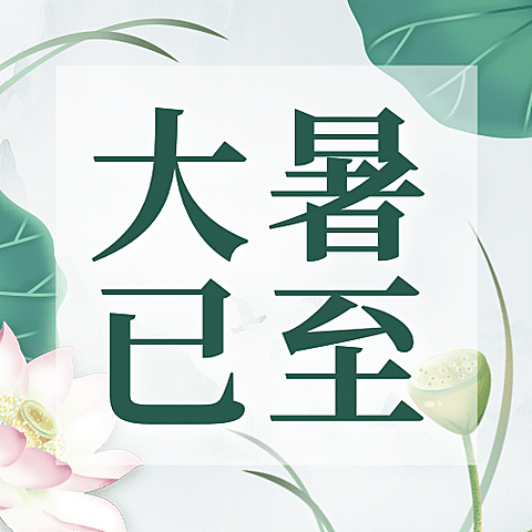 大暑节气荷叶文框清新公众号次图
