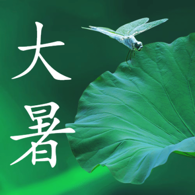 大暑节气荷叶绿植夏日公众号次图