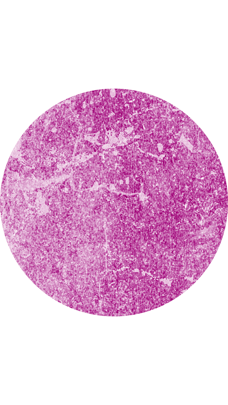 Simple Style White Background Dark Purple Hawthorn Texture Instagram Highlight