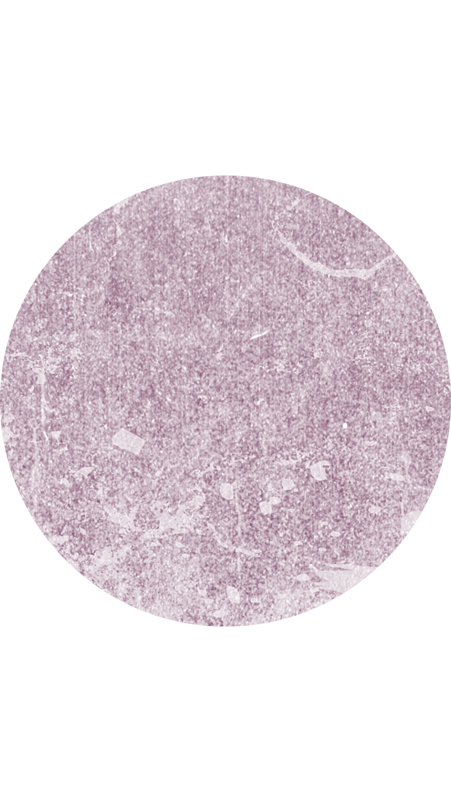 Simple Style White Background Purple Hawthorn Texture Instagram Highlight